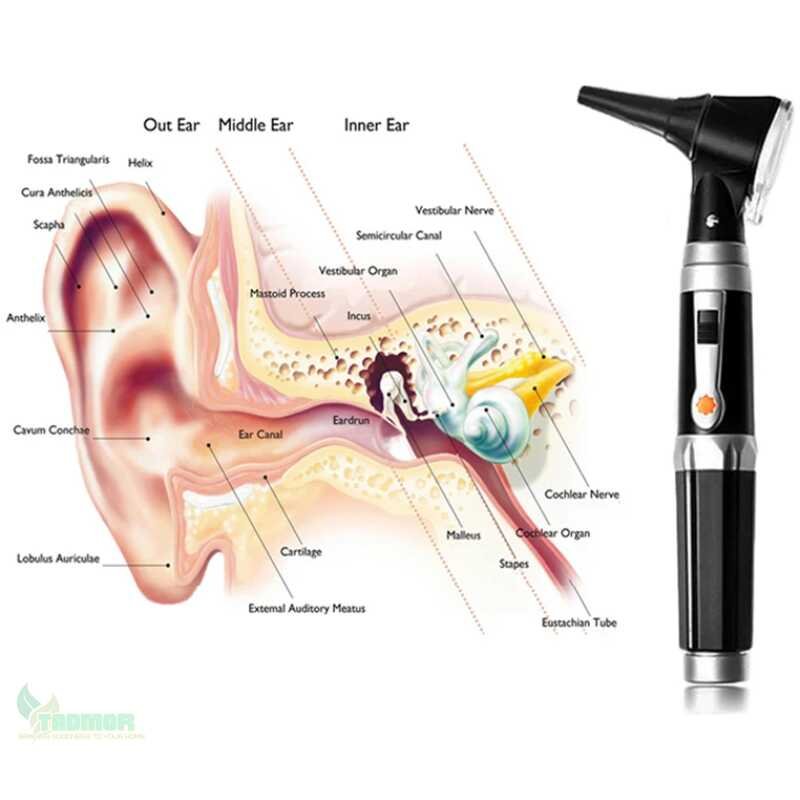 Professional Otoscopio Diagnostic Kit Medical Home Doctor ENT Ear Care Endoscope LED Portable Otoscope Ear Cleaner with 8 Tips - Image 3