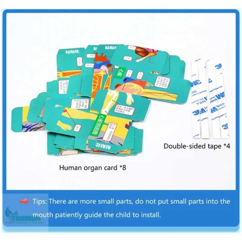 Human Anatomical Cards Anatomy Study Cube Medicals Student Learning Tool Anatomy Chart Sets Human Body Organs Study Cube J60A - Image 5