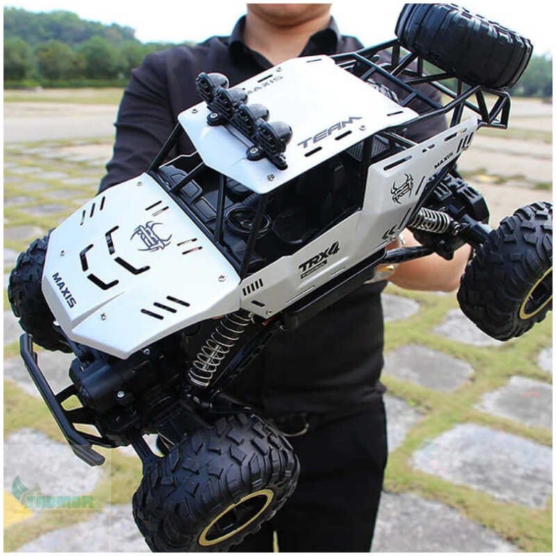 ZWN 4WD Remote Control Car